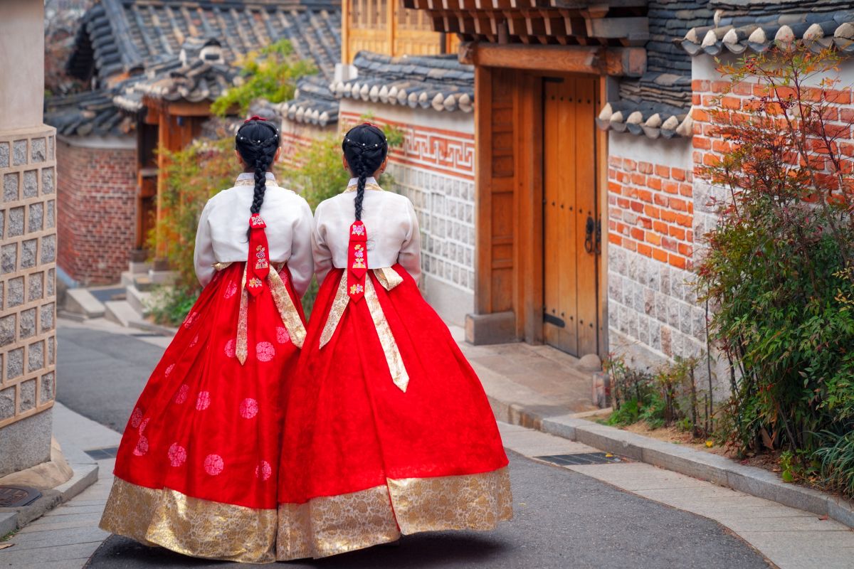 ペット同伴の海外旅行で韓国が人気な理由とは？