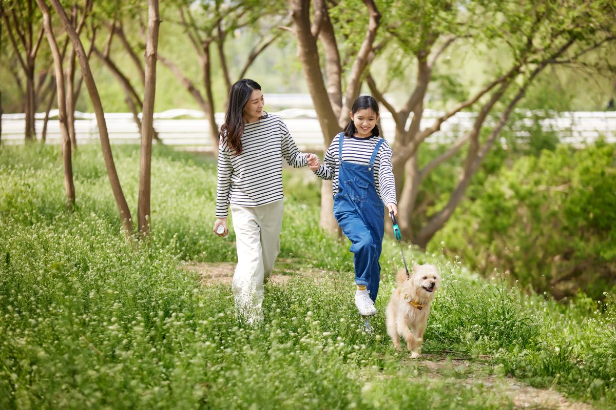 3日目：「犬の森」で思いきり遊ぶ