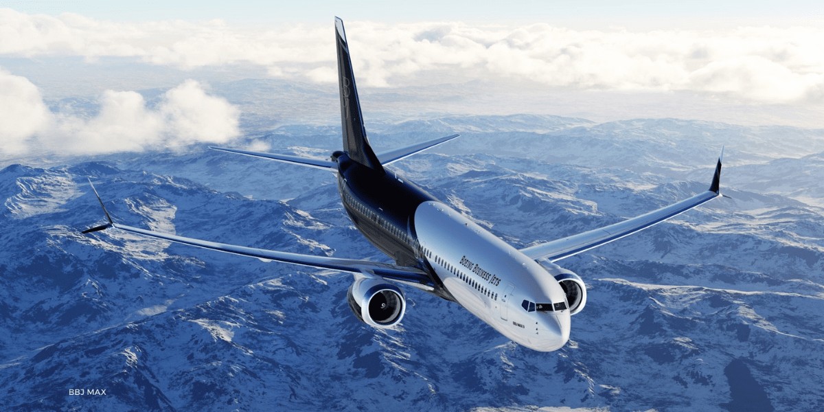 最高級のプライベートジェットのチャーターとは。ANAビジネスジェットが提供する機体と選び方を解説